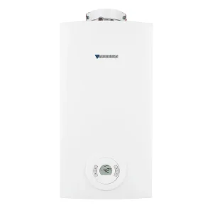 Calefón Cámara Estanca 15 Lts Gas Natural Junkers