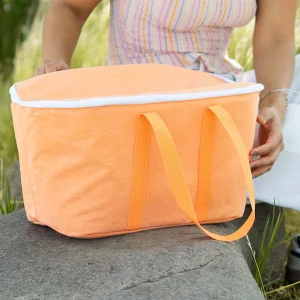 Bolso Cooler Plegable Pop 20 Lts