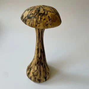 Hongo Madera Nativo S 14 Cm Milenaria Alerce