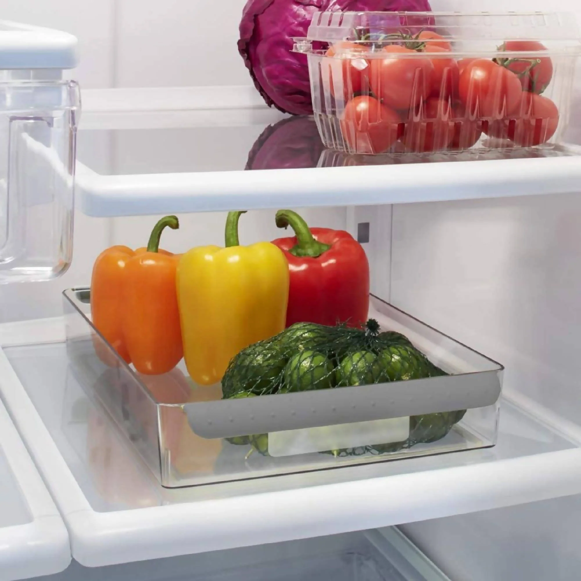 Contenedor Wide Shallow