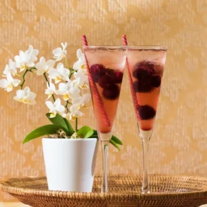 Set 6 Copas Vina Trumpet