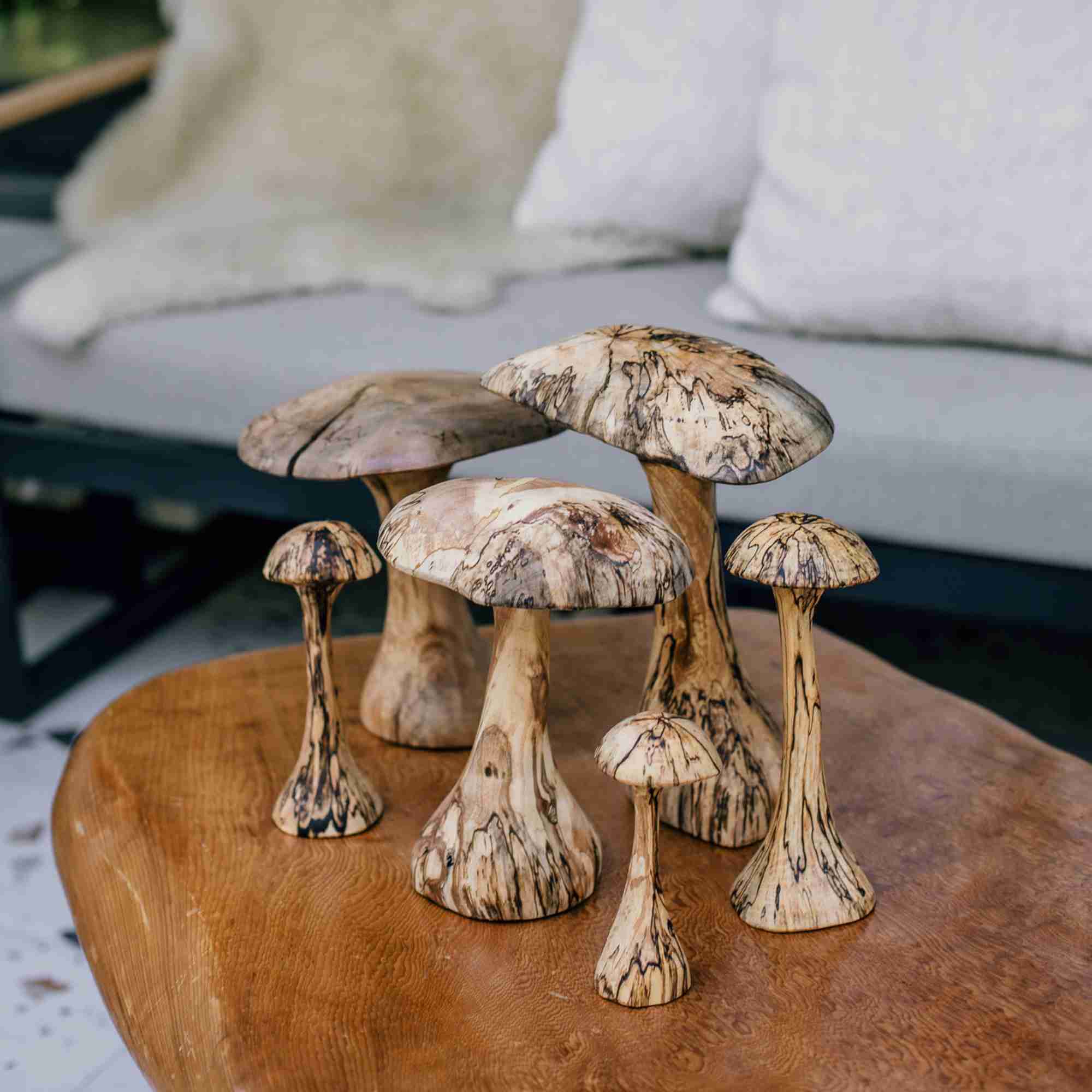 Hongo Madera Nativo L 18 Cm Milenaria Alerce - Imagen 2