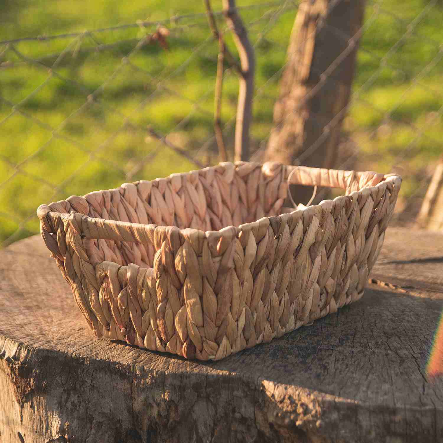 Cestos Jacinto Maite 25 x 15 x 10 Cm Decoexpress - Imagen 2