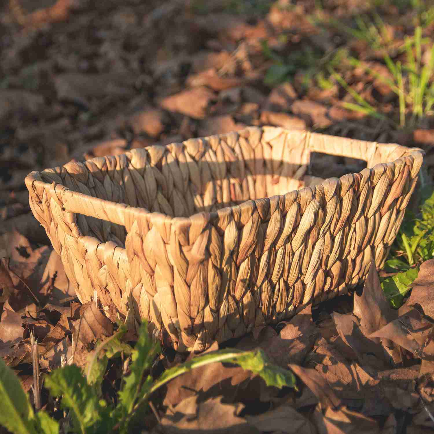 Cestos Jacinto Maite 25 x 15 x 10 Cm Decoexpress - Imagen 3