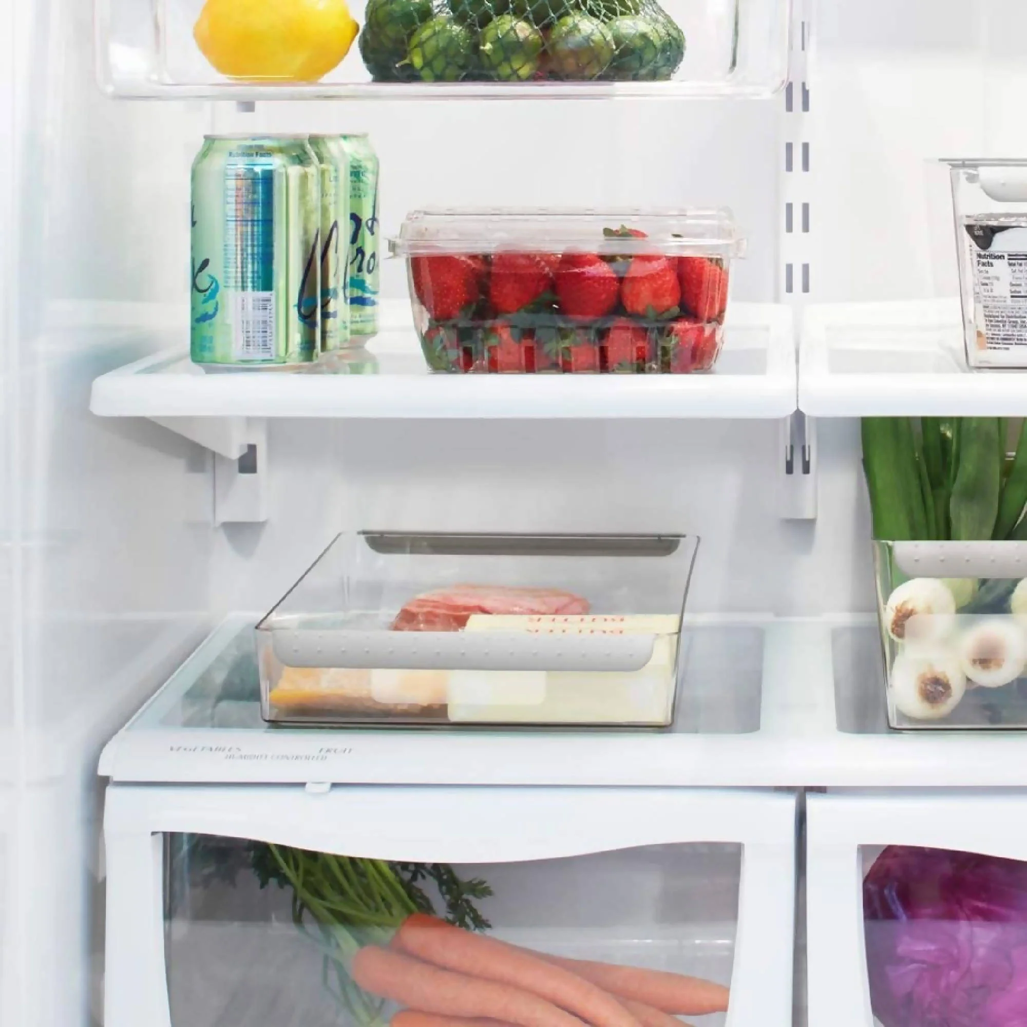 Contenedor Wide Shallow - Imagen 4