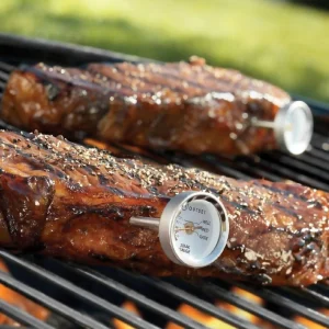 Set 4 Termómetros Análogos Carne