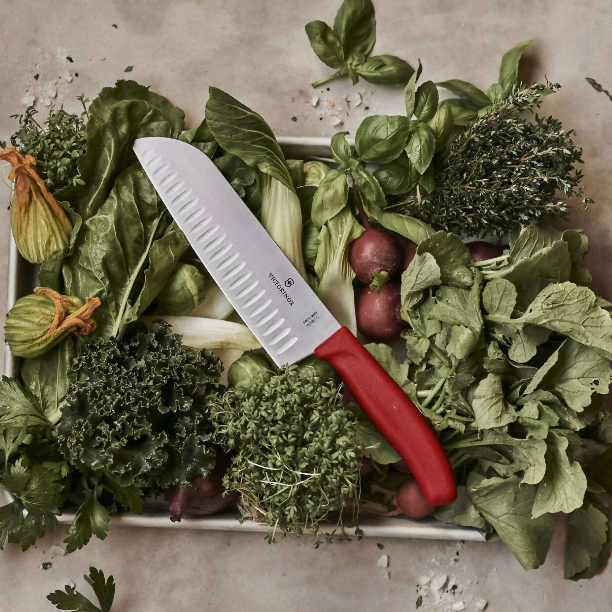 Cuchillo Santoku Swiss Classic Blister Hoja 17 Cm Victorinox - Imagen 4