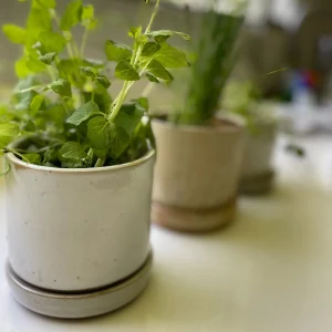 Macetero Para Hierbas BoHo